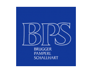 Logo BPS Brugger Pamperl Schallhart Wirtschaftsprüfungs-und Steuerberatung GmbH & Co KG